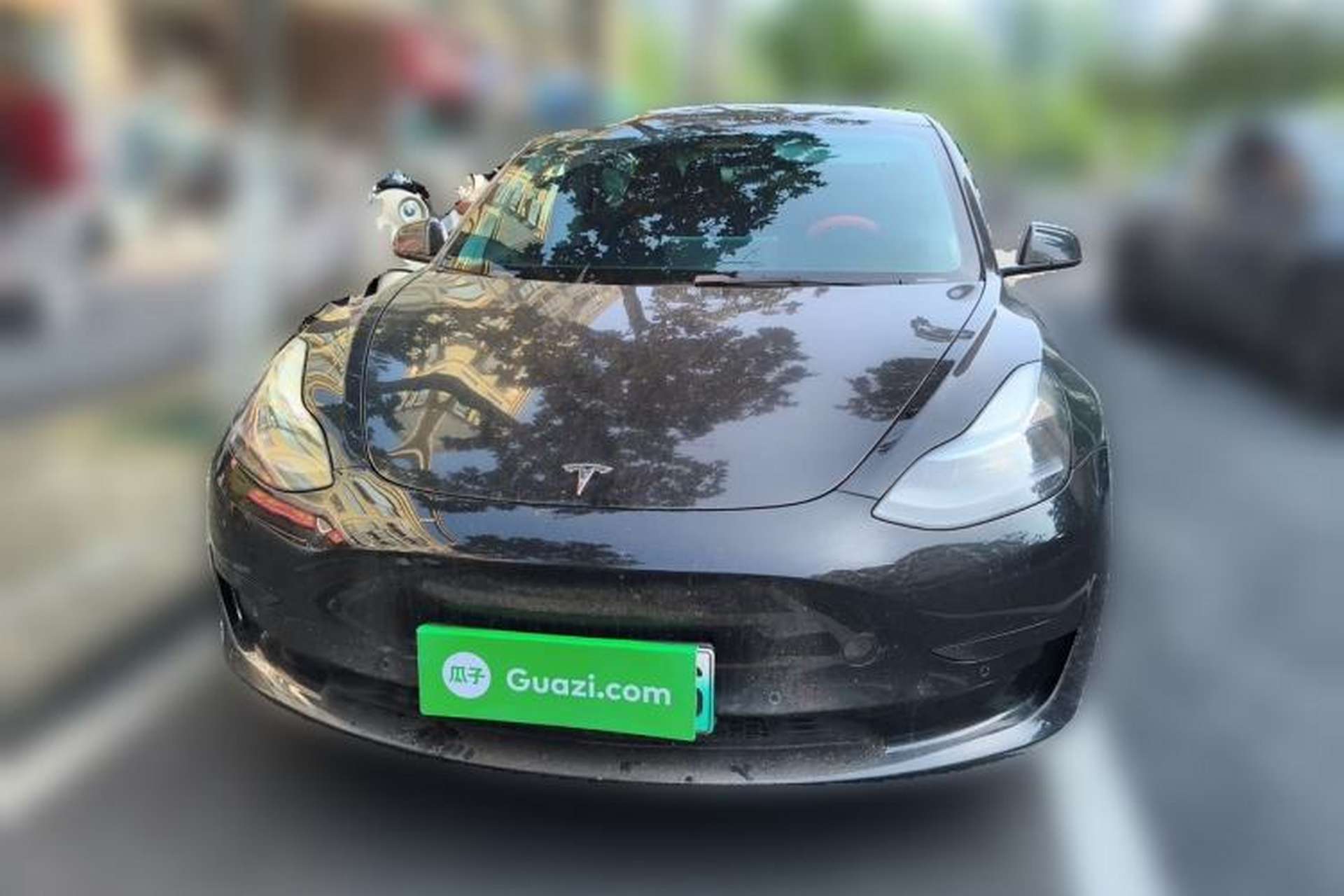 Used Tesla Model 3 2022 Rear-Wheel-Drive Version Front