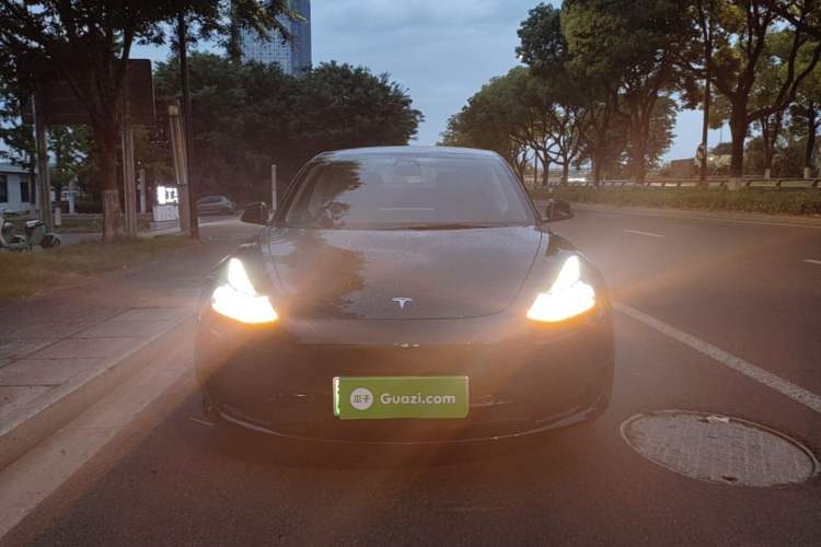 Used Tesla Model 3 2022 Rear-Wheel-Drive Version Front