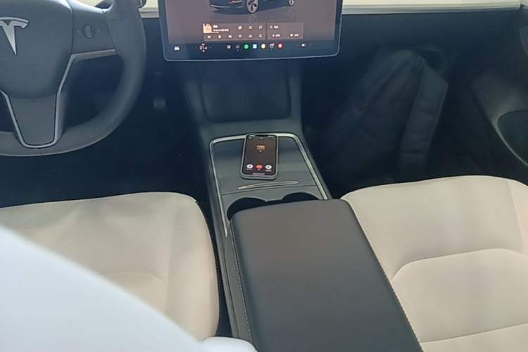 Used Tesla Model 3 2022 Rear-Wheel-Drive Version Gear Lever