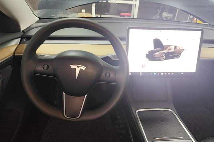 Used Tesla Model 3 2022 Rear-Wheel-Drive Version Gear Lever