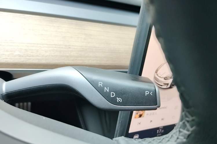 Used Tesla Model 3 2022 Performance High-Performance All-Wheel-Drive Version Gear Lever