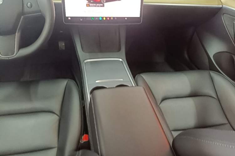Used Tesla Model 3 2022 Rear-Wheel-Drive Version Gear Lever
