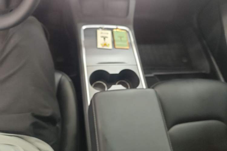 Used Tesla Model 3 2022 Rear-Wheel-Drive Version Gear Lever