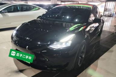 Used Tesla Model 3 2022 Rear-Wheel-Drive Version
