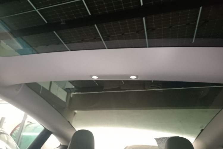 Used Tesla Model 3 2022 Rear-Wheel-Drive Version Headliner