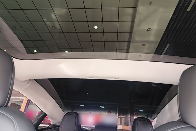 Used Tesla Model 3 2022 Rear-Wheel-Drive Version Headliner