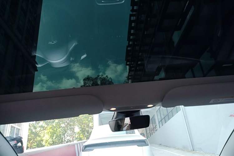 Used Tesla Model 3 2022 Rear-Wheel-Drive Version Headliner