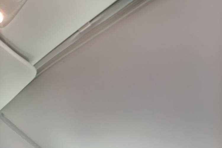 Used Tesla Model 3 2022 Rear-Wheel-Drive Version Headliner
