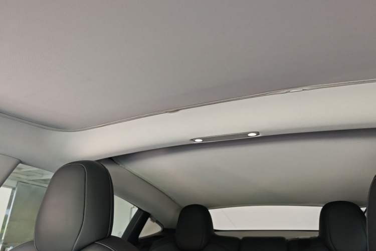 Used Tesla Model 3 2022 Rear-Wheel-Drive Version Headliner