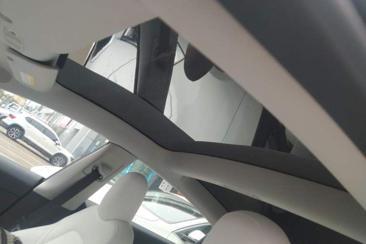Used Tesla Model 3 2022 Performance High-Performance All-Wheel-Drive Version Headliner