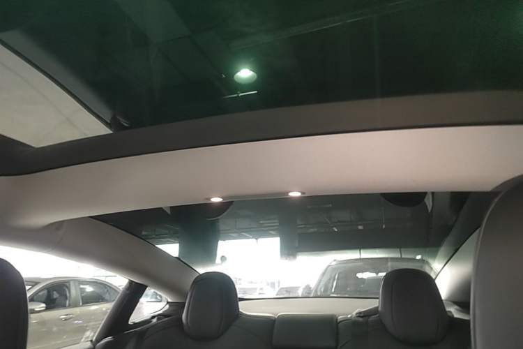 Used Tesla Model 3 2022 Rear-Wheel-Drive Version Headliner