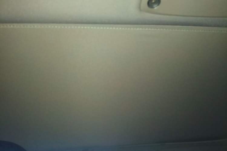 Used Tesla Model 3 2022 Rear-Wheel-Drive Version Headliner