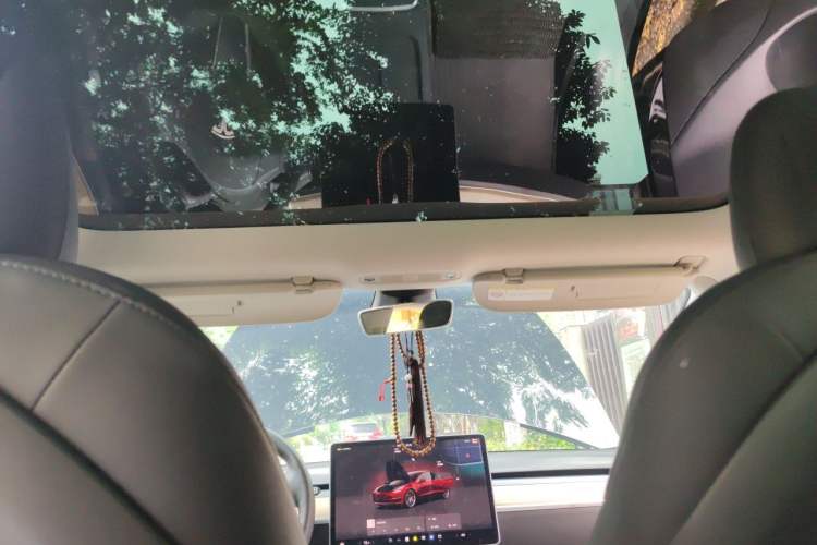 Used Tesla Model 3 2022 Rear-Wheel-Drive Version Headliner