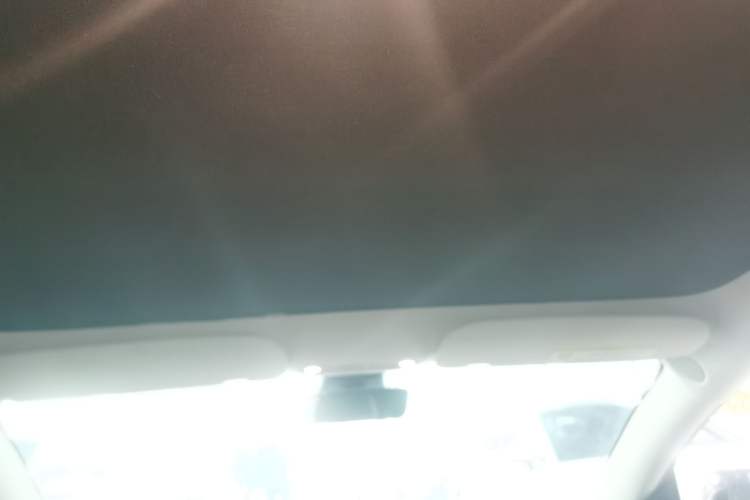 Used Tesla Model 3 2022 Performance High-Performance All-Wheel-Drive Version Headliner