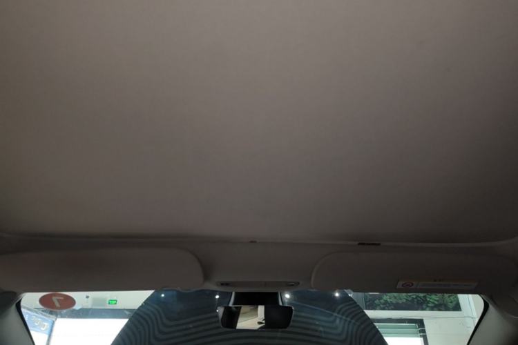 Used Tesla Model 3 2022 Rear-Wheel-Drive Version Headliner