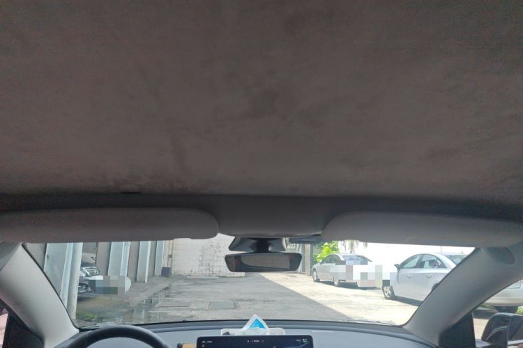 Used Tesla Model 3 2022 Rear-Wheel-Drive Version Headliner