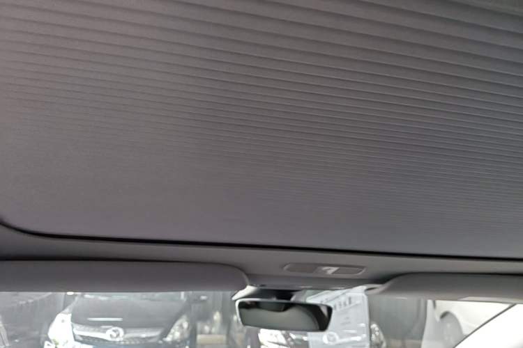 Used Tesla Model 3 2022 Performance High-Performance All-Wheel-Drive Version Headliner