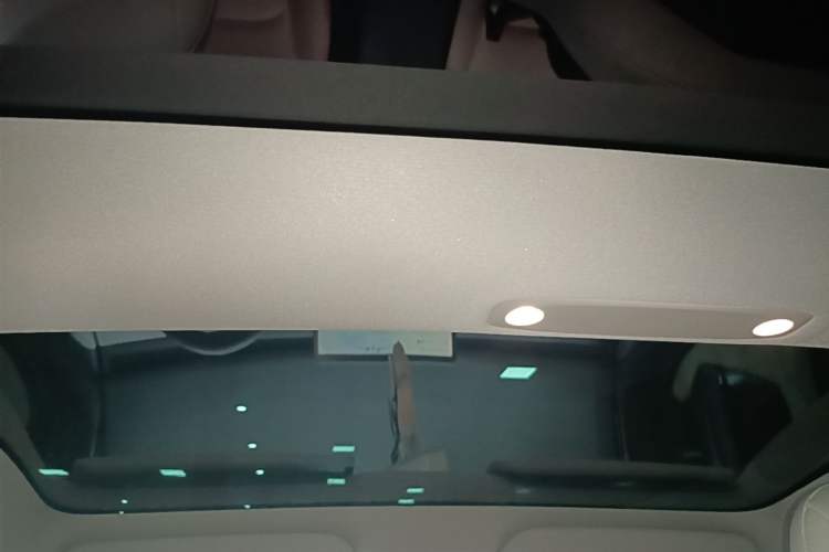 Used Tesla Model 3 2022 Rear-Wheel-Drive Version Headliner