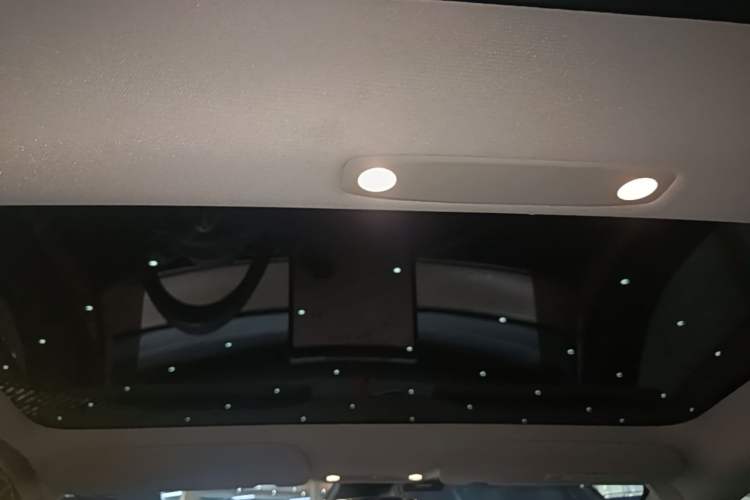 Used Tesla Model 3 2022 Rear-Wheel-Drive Version Headliner