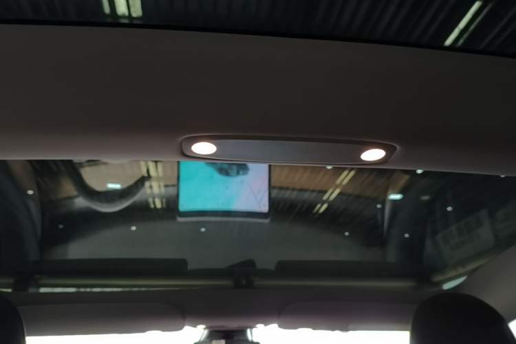 Used Tesla Model 3 2022 Rear-Wheel-Drive Version Headliner