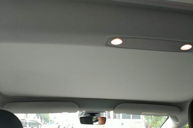 Used Tesla Model 3 2022 Rear-Wheel-Drive Version Headliner