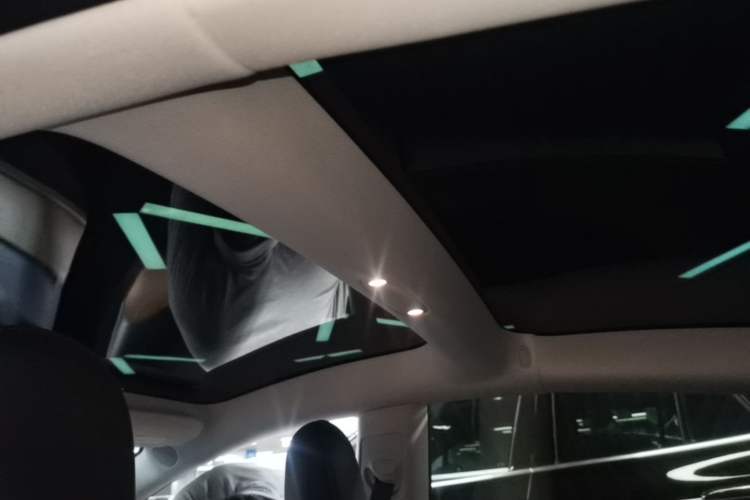 Used Tesla Model 3 2022 Rear-Wheel-Drive Version Headliner