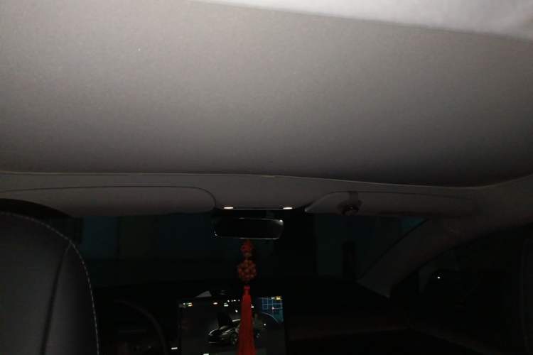 Used Tesla Model 3 2022 Rear-Wheel-Drive Version Headliner