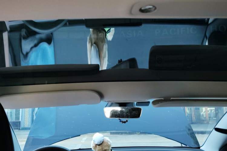Used Tesla Model 3 2022 Rear-Wheel-Drive Version Headliner