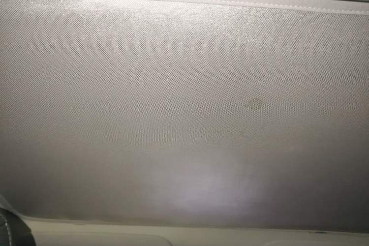 Used Tesla Model 3 2022 Rear-Wheel-Drive Version Headliner