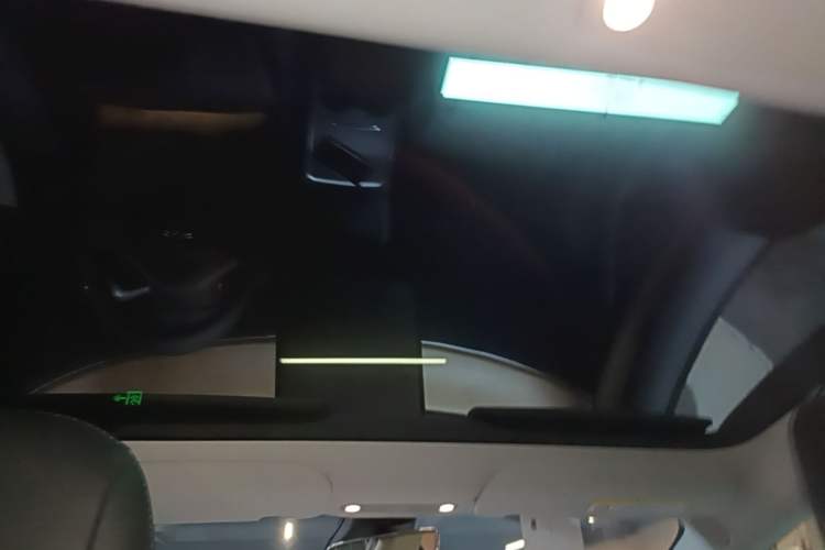 Used Tesla Model 3 2022 Rear-Wheel-Drive Version Headliner