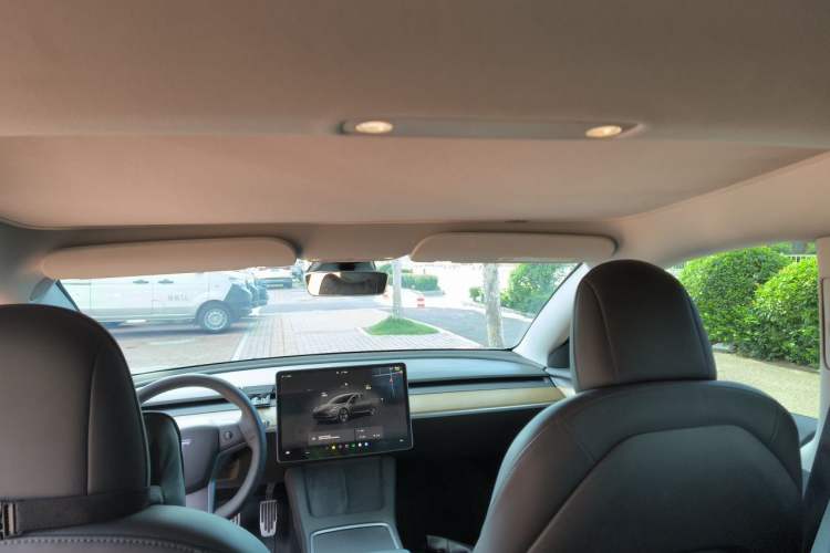 Used Tesla Model 3 2022 Rear-Wheel-Drive Version Headliner