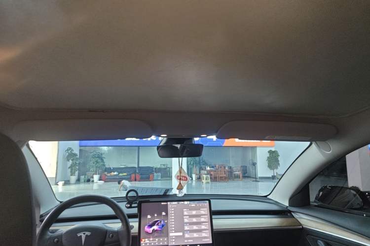 Used Tesla Model 3 2022 Rear-Wheel-Drive Version Headliner
