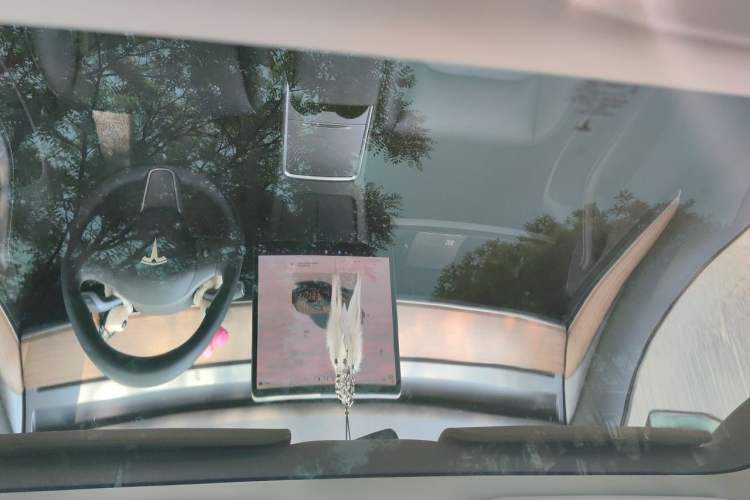 Used Tesla Model 3 2022 Rear-Wheel-Drive Version Headliner