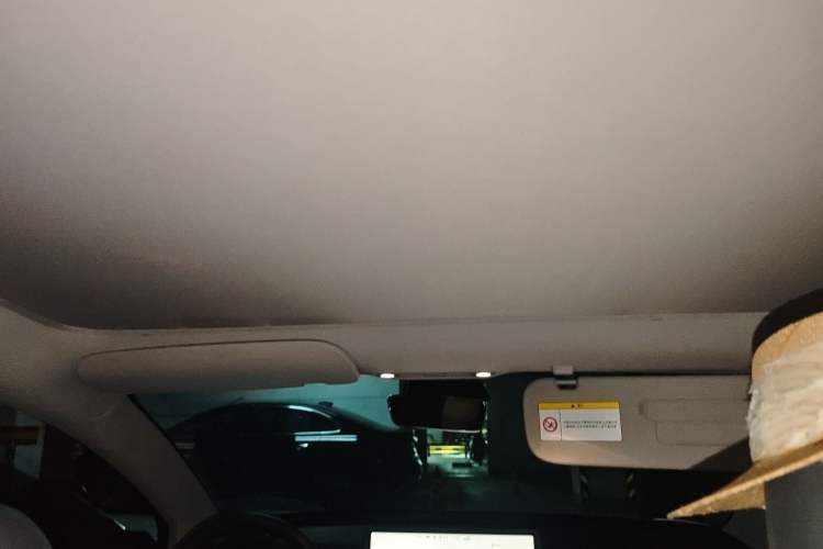 Used Tesla Model 3 2022 Rear-Wheel-Drive Version Headliner