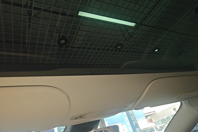 Used Tesla Model 3 2022 Rear-Wheel-Drive Version Headliner