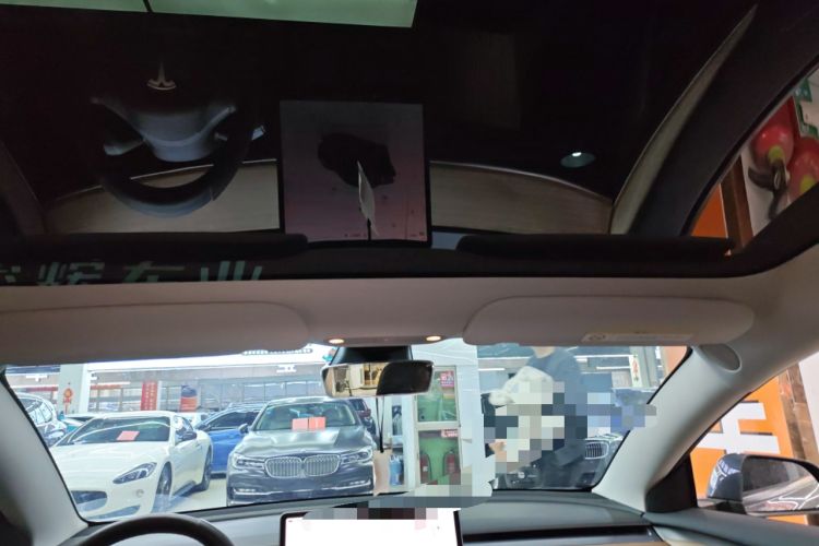 Used Tesla Model 3 2022 Rear-Wheel-Drive Version Headliner