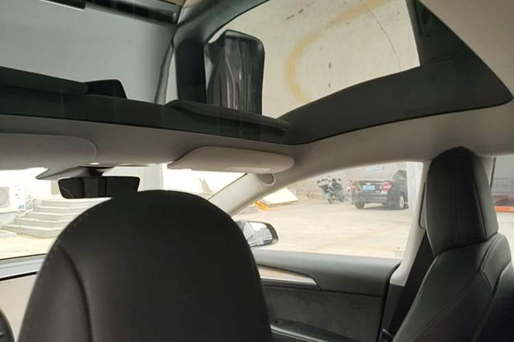 Used Tesla Model 3 2022 Rear-Wheel-Drive Version Headliner