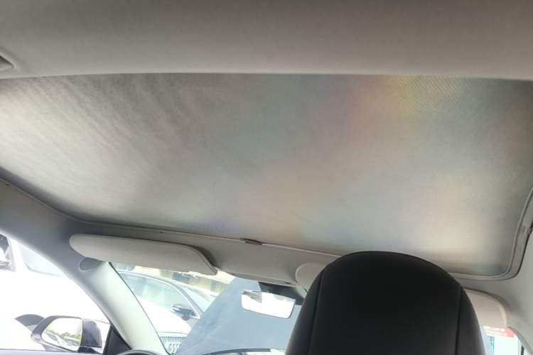 Used Tesla Model 3 2022 Rear-Wheel-Drive Version Headliner