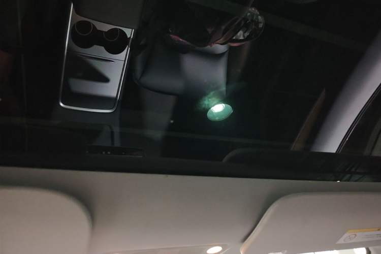 Used Tesla Model 3 2022 Rear-Wheel-Drive Version Headliner
