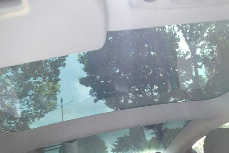 Used Tesla Model 3 2022 Rear-Wheel-Drive Version Headliner