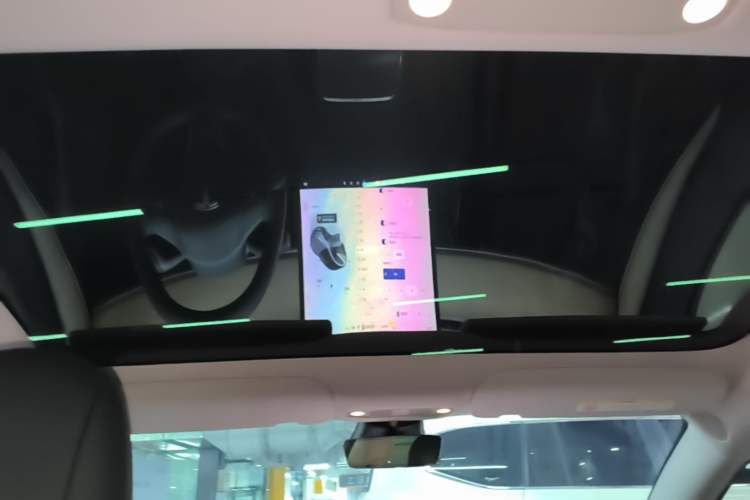 Used Tesla Model 3 2022 Rear-Wheel-Drive Version Headliner
