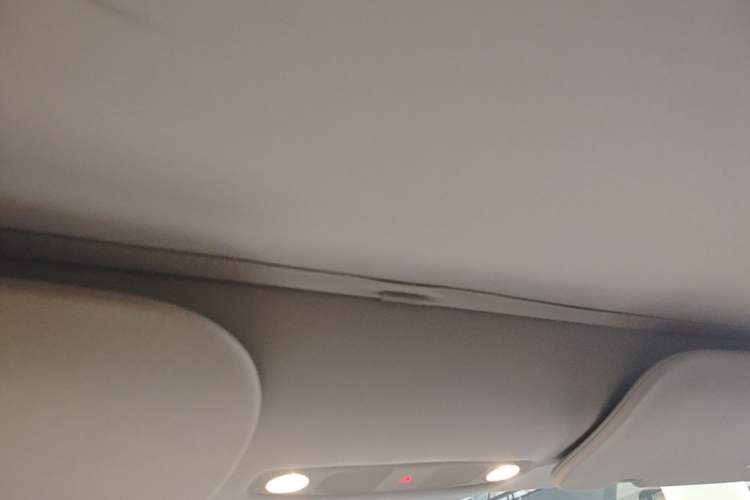 Used Tesla Model 3 2022 Rear-Wheel-Drive Version Headliner