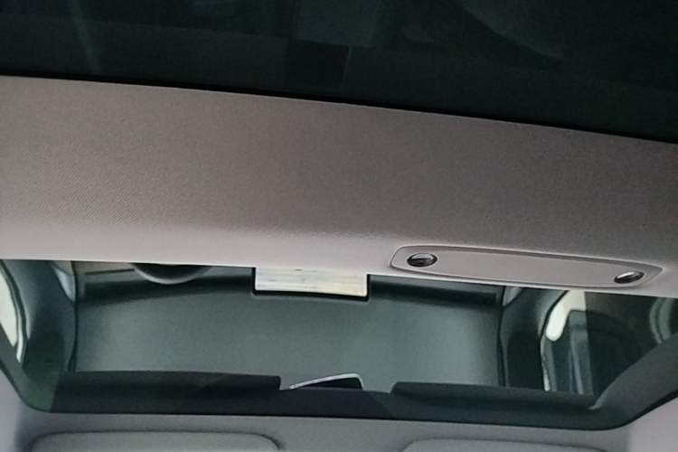 Used Tesla Model 3 2022 Rear-Wheel-Drive Version Headliner