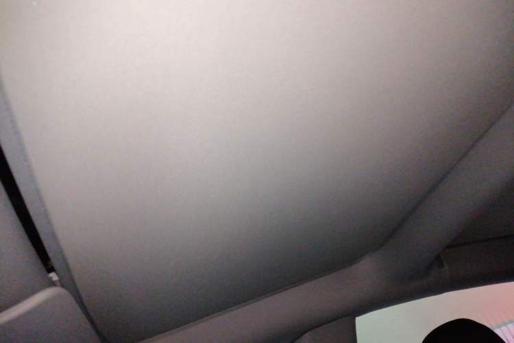 Used Tesla Model 3 2022 Performance High-Performance All-Wheel-Drive Version Headliner