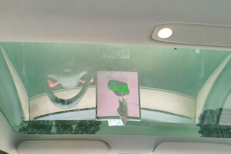 Used Tesla Model 3 2022 Rear-Wheel-Drive Version Headliner