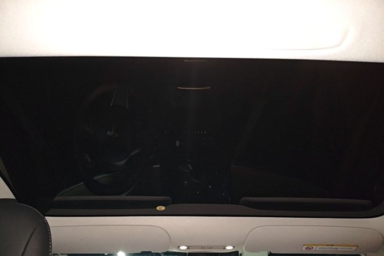 Used Tesla Model 3 2022 Rear-Wheel-Drive Version Headliner