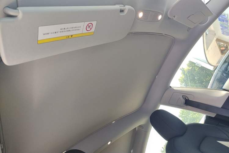 Used Tesla Model 3 2022 Rear-Wheel-Drive Version Headliner