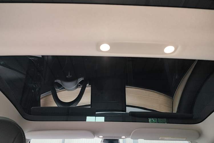 Used Tesla Model 3 2022 Rear-Wheel-Drive Version Headliner