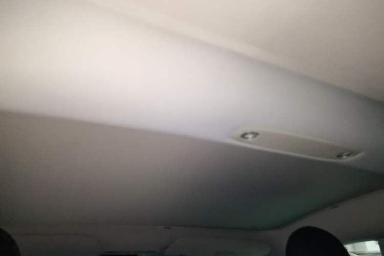 Used Tesla Model 3 2022 Rear-Wheel-Drive Version Headliner