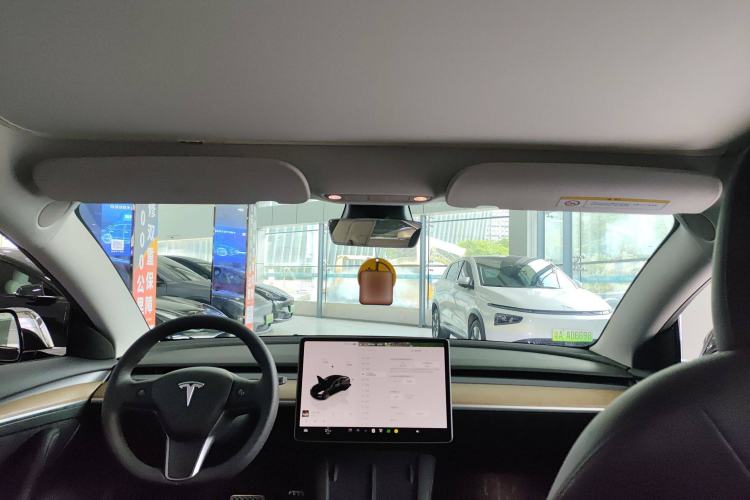 Used Tesla Model 3 2022 Performance High-Performance All-Wheel-Drive Version Headliner